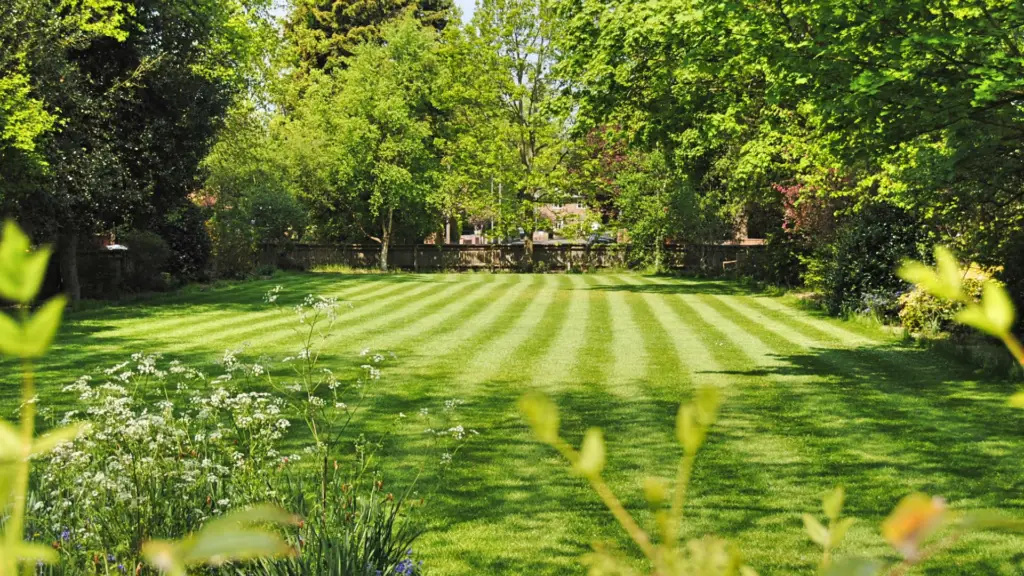 lawn mowing company lincoln, ne